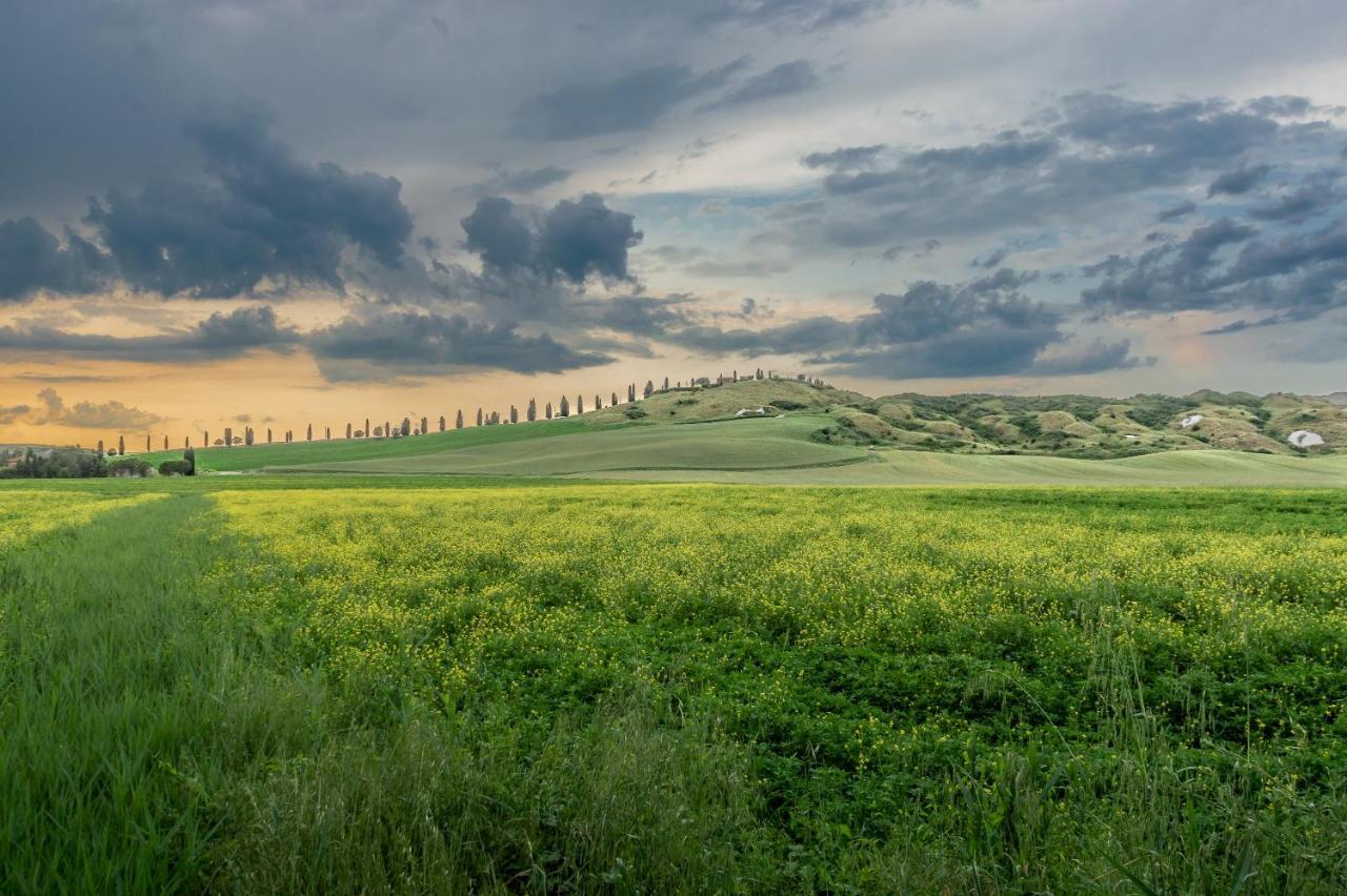 Tuscany Balcony: Crete Senesi Casetta Eksteriør bilde